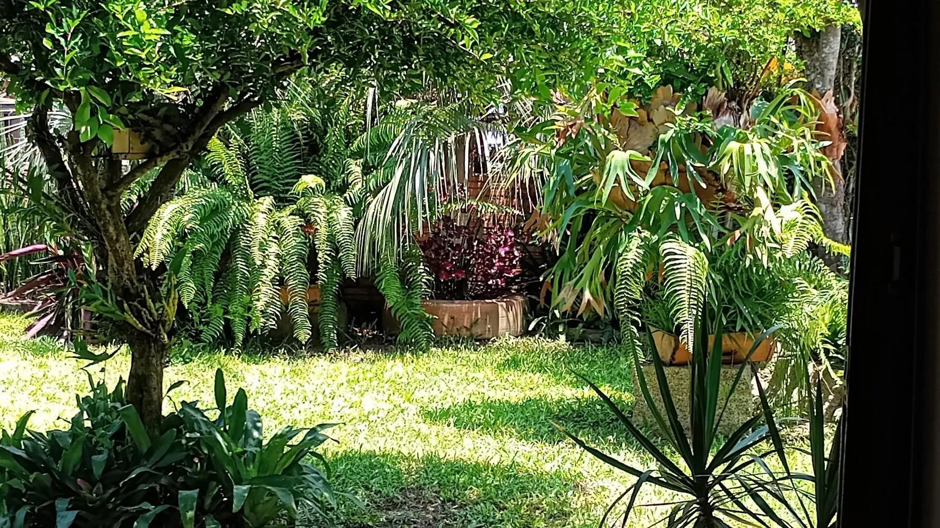 Hibisco Rosa Alugueis 호텔 아라사투바